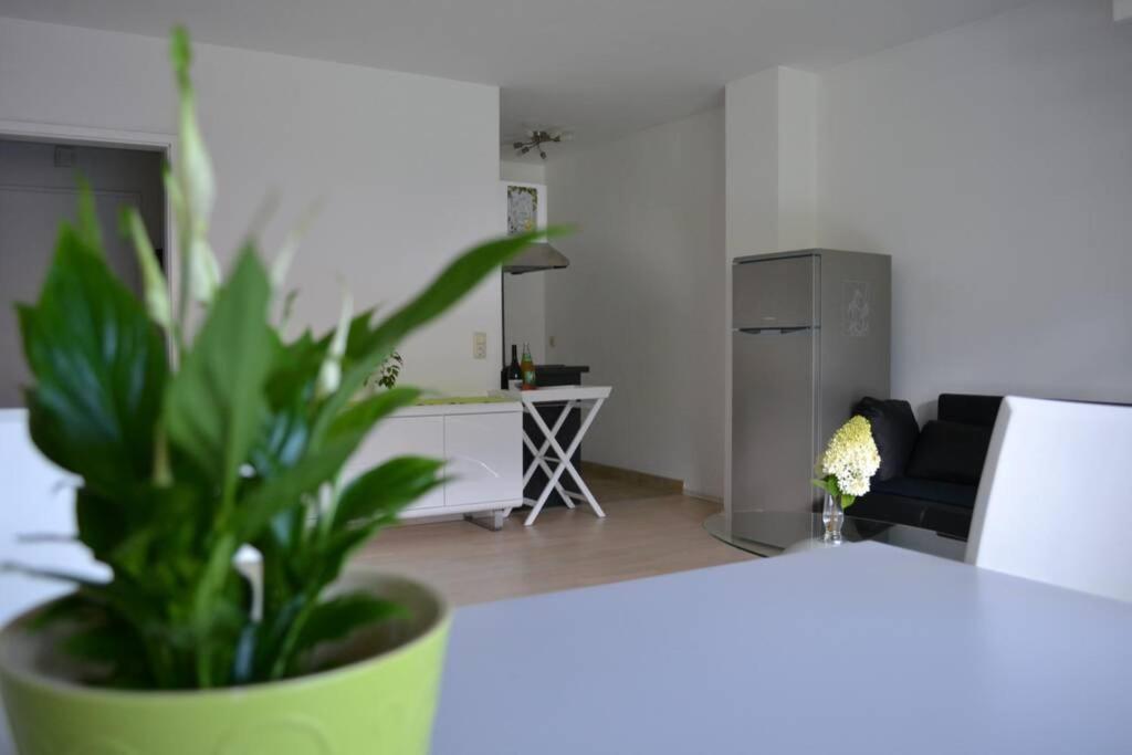 Ferienwohnung Stimmer Grainau Buitenkant foto